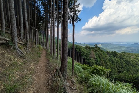 Bravo ! Cup 2025 88km