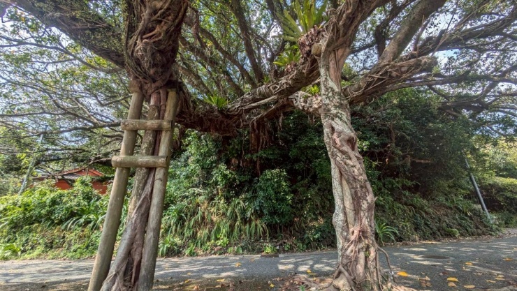 パワースポットでパワー充電！