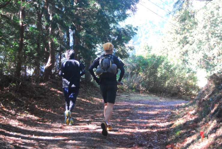 中級者コース　林道