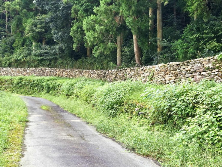 猪垣が続くコース