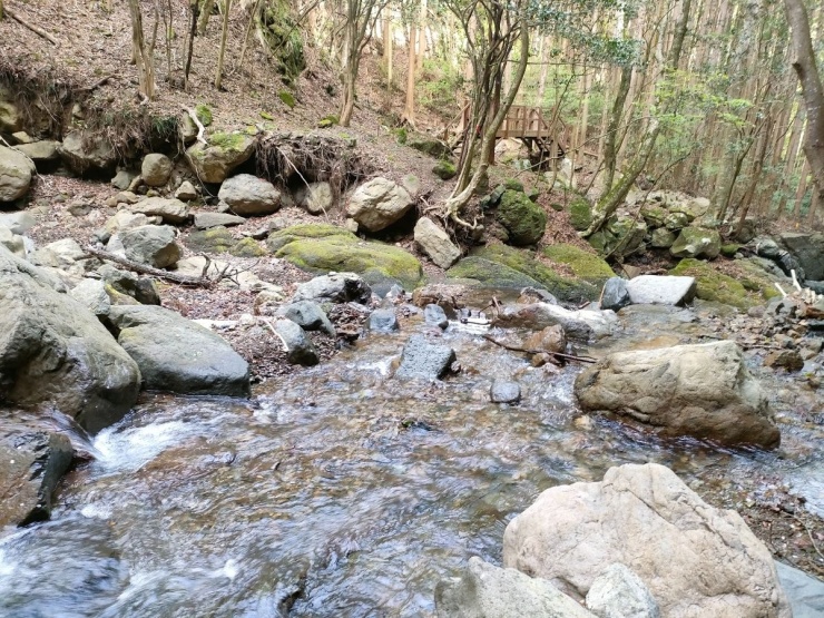 上級者コース　一部沢渡もあるかも。