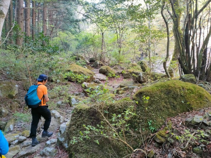 上級者コース　東海自然歩道