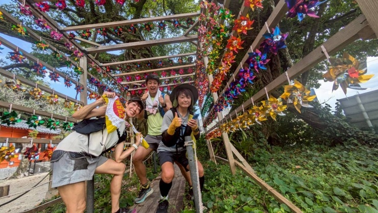 パワースポットの野島神社