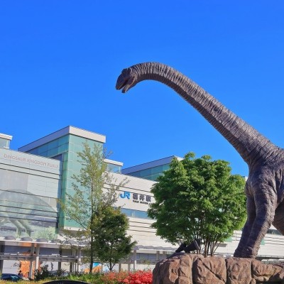 キャンセル待ち【2025.11.30金沢市開催】final練習会！濃密内容×冬メニュー対策