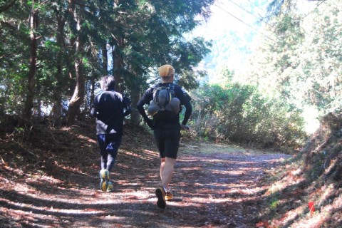 両河内 秋のRUN祭り