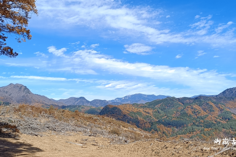 第二回 御嶽古道初詣レース