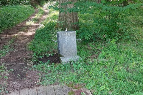 第3回 キゴ山トレイルラン練習会