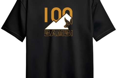 【2025】mini BAMBI