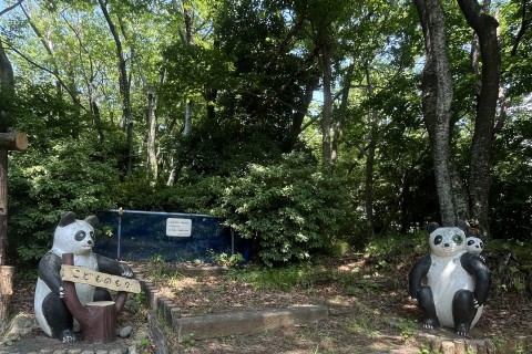 【YUMI練】　パンダ坂　2往復