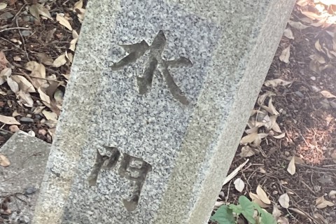 神田川をたどる！源流・井之頭池～河口・墨田川マラニック30kｍ