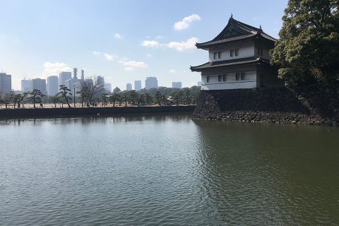 皇居GPSアート「小顔マラソン 9km」