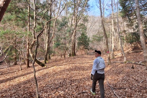 三田母子トレイルレース（兵庫県三田市）