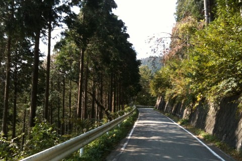 10/18 Go. Run 奥武蔵グリーンライン峠走