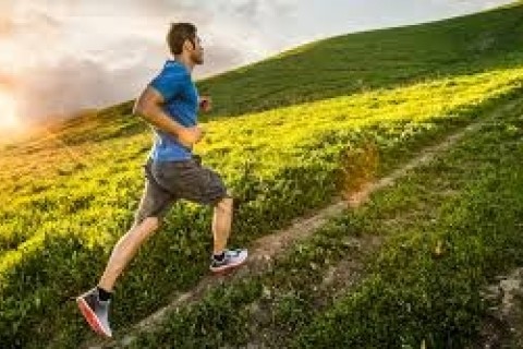 赤倉観光リゾート 直登RUNフェスティバル