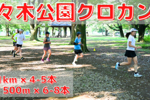 10/8(水),22(水)代々木公園クロカン部