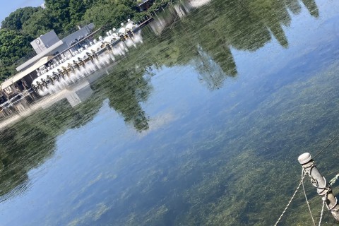 神田川をたどる！源流・井之頭池～河口・墨田川マラニック30kｍ