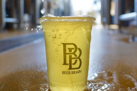 【11/3】Hugge Run ＆ BEERBRAIN by SAYSKY