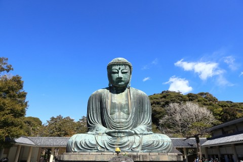 大仏と時を歩く道