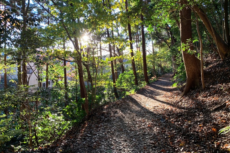 ローカルモーニングトレイル コーヒーと朝食