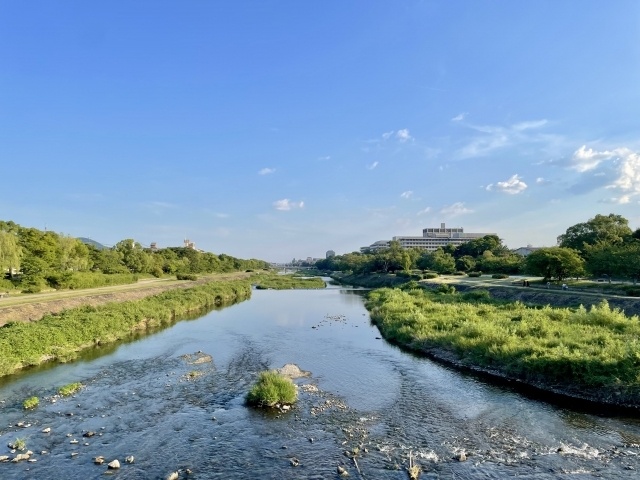 朝の鴨川のんびりラン