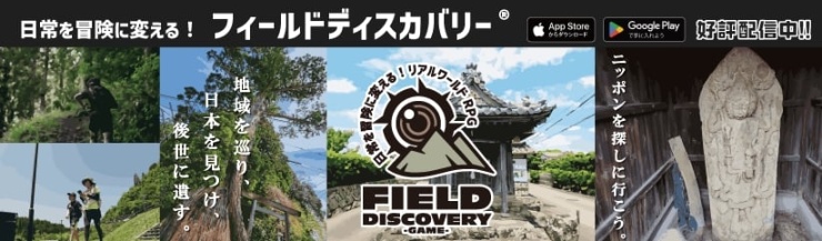 フィールドディスカバリーゲーム