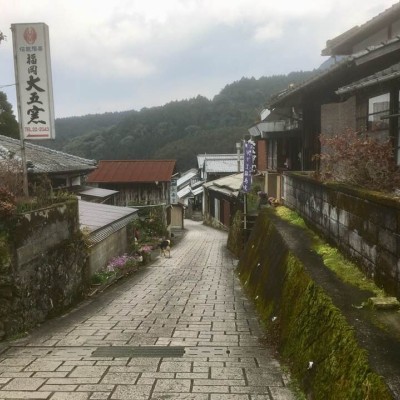 陶芸の里めぐりウルトラジョグトリップ since 2013