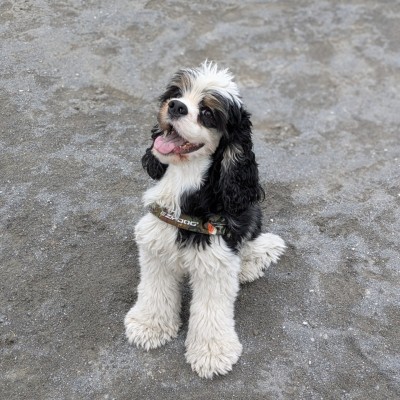 ろっくぷーるさん