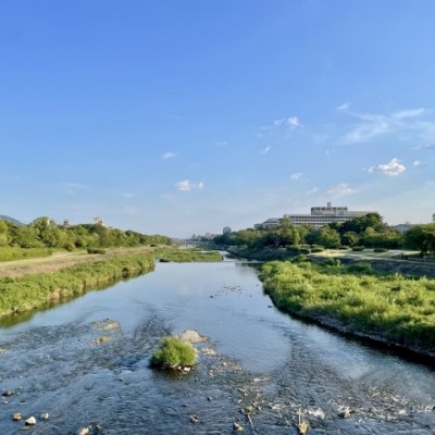 朝の鴨川のんびりラン