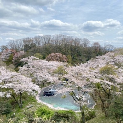 IKOMA Nature Trail 2026(45ｋｍ)