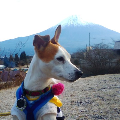 還暦スカイランナーさん