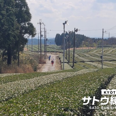 【秋のマラソン対策】あいの土山マラソン試走会 45k 23k 持久力強化【サトウ練習会】