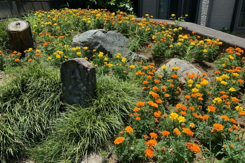 古地図で巡る庚申塔～所沢編～