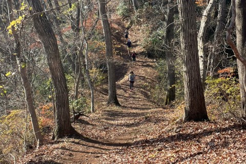 ITAトレイルランニング 2025【Iwanuma to Ayashi】