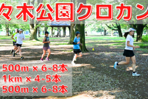 10/29(水),11/12(水),26(水)代々木公園クロカン部