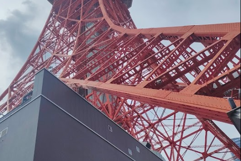 【ゆるパンラン】MINATOシティハーフマラソンのコースを走ってみよう！