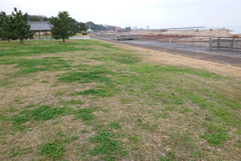 阪南クロスカントリー＆ウォークトライアル