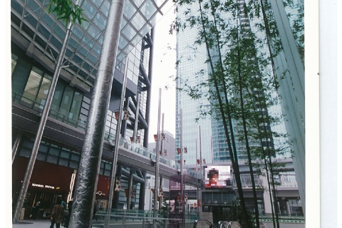 11/9（日）ピックルボールチャレンジ in 日テレ（大屋根広場）