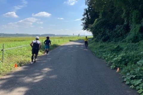 佐倉・岩名「ロード5K〔5.30〕×5」実戦練習会《主催ニッポンランナーズ》11/3（月・祝）