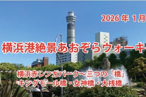 第１２回横浜港絶景あおぞらウォーキング