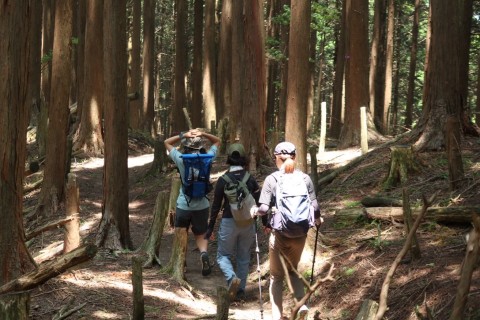 【アウルミルズのサングラスをトレイルで体験！】 〜名草山でのんびり山歩き〜