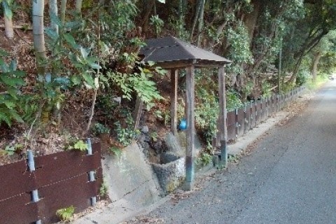 ハケの道を訪ねて 5/9km 団体歩行