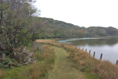 Saturday Community Run(伊豆天城山トレイルラン)