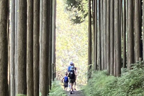 トレランに悩んでいる人で集まって山を走りながら語り合うイベント（初級者〜中級者歓迎！）