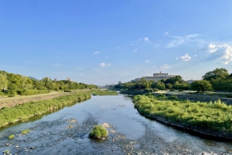 朝の鴨川のんびりラン