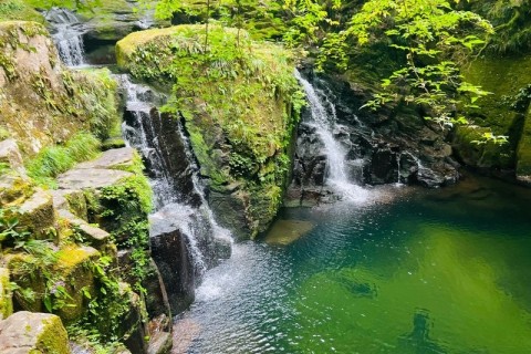 紅葉の絶景と赤目四十八滝トレイルラン【残りわずか】