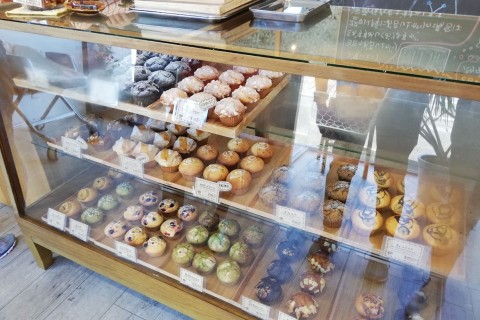 黄金色に染まるイチョウ並木を走ろう！ 各務ヶ原・冬ソナストリート紅葉ラン