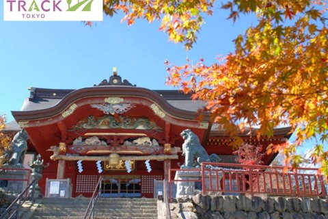 【初心者向け】御岳山ロックガーデントレイル