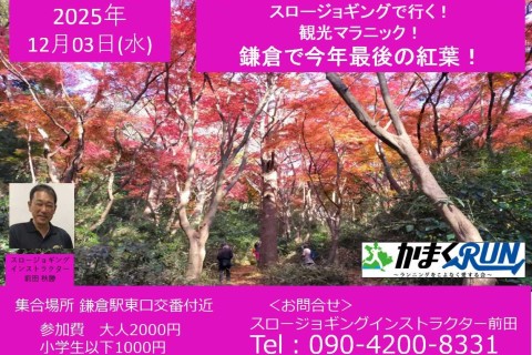【かまくRUN】スロージョギング®で行く！観光マラニック　鎌倉で今年最後の紅葉！