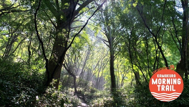 【初心者】朝の鎌倉トレイルラン＆ウォーク