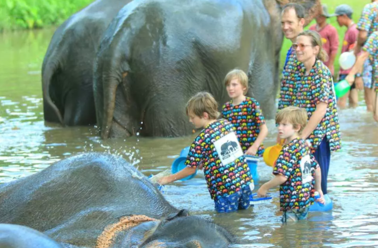 エレファントアクティヴィティ